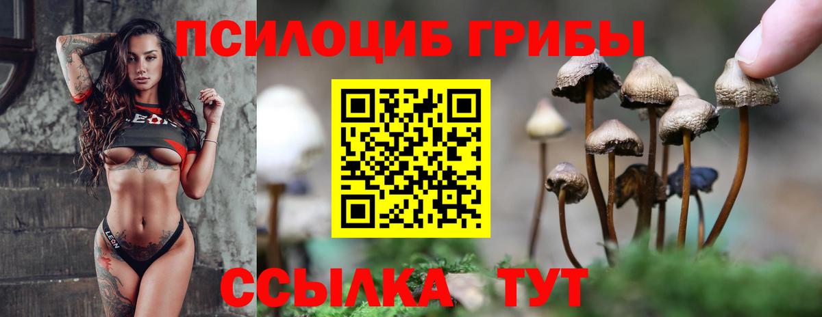 Кондопога  Псилоцибиновые грибы GOLDEN TEACHER  Псилоцибиновые грибы ЛСД  Вход с VPN 